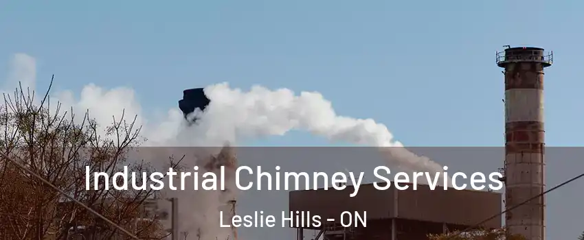  Industrial Chimney Services Leslie Hills - ON