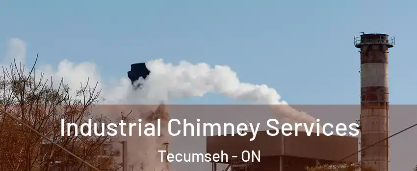 Industrial Chimney Services Tecumseh - ON