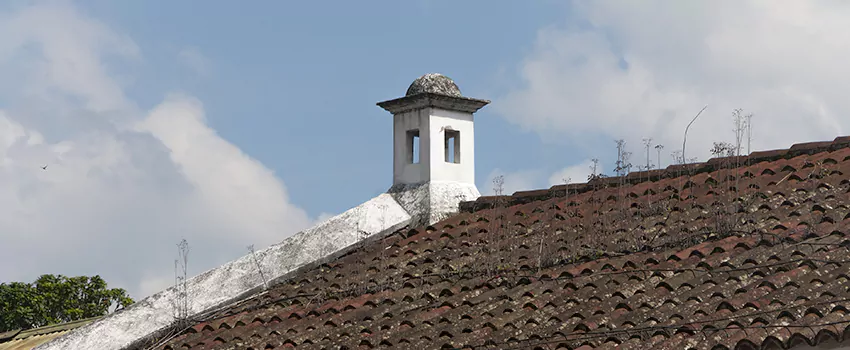 Wind-Resistant Chimney Caps Installation and Repair Services in East Windsor, Ontario