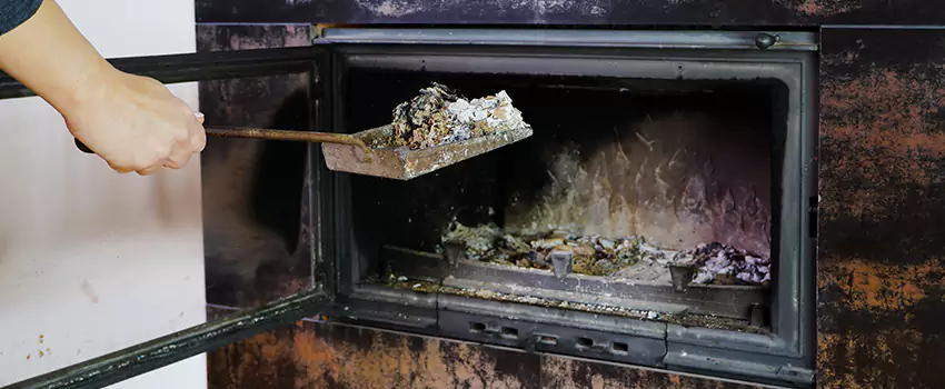 Wood Burning Chimney Odor Removal in Forest Glade, Ontario