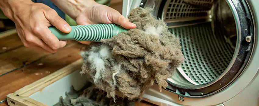Best Dryer Lint Removal Company in East Windsor, Ontario