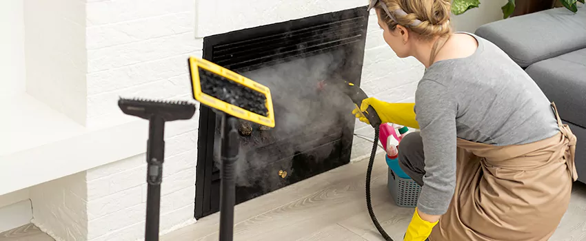 Fireplace Doors Cleaning in East Windsor, Ontario