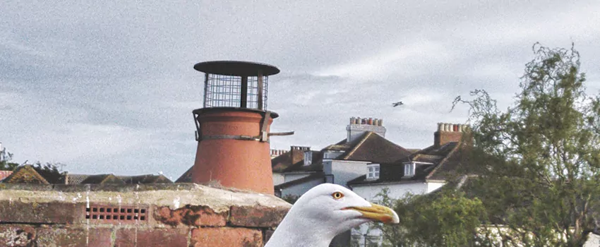 Chimney Cap Bird Guard Repair in East Windsor, Ontario