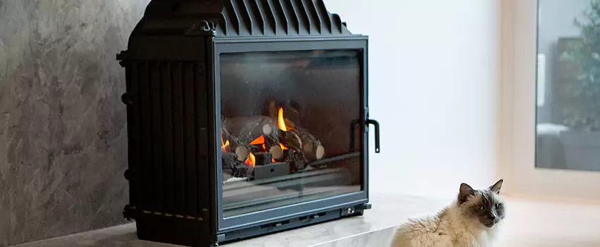 Fireplace Damaged Damper Frame Repair Services in East Windsor, Ontario