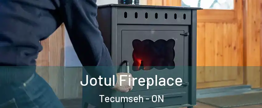  Jotul Fireplace Tecumseh - ON