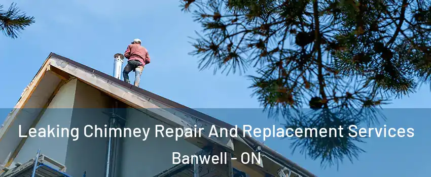  Leaking Chimney Repair And Replacement Services Banwell - ON