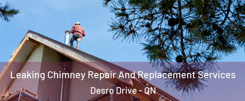  Leaking Chimney Repair And Replacement Services Desro Drive - ON
