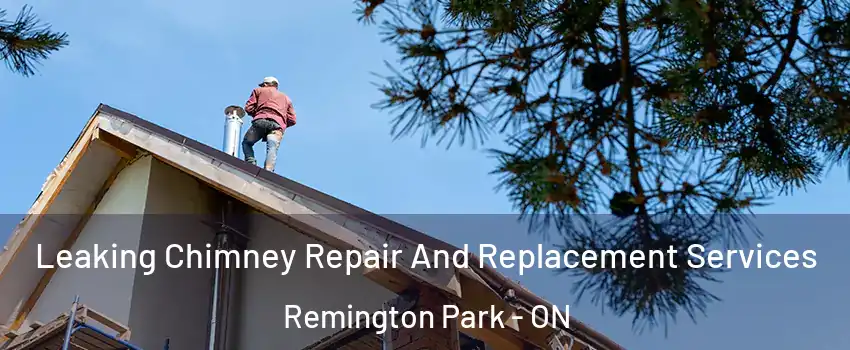  Leaking Chimney Repair And Replacement Services Remington Park - ON