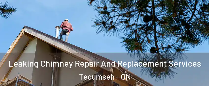  Leaking Chimney Repair And Replacement Services Tecumseh - ON