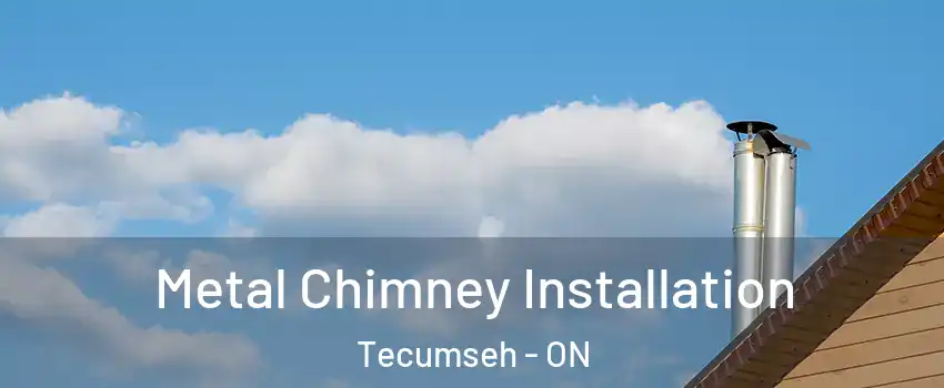  Metal Chimney Installation Tecumseh - ON