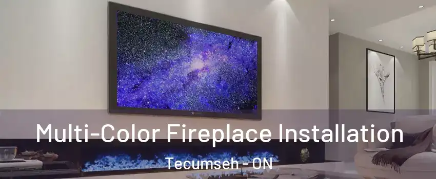  Multi-Color Fireplace Installation Tecumseh - ON