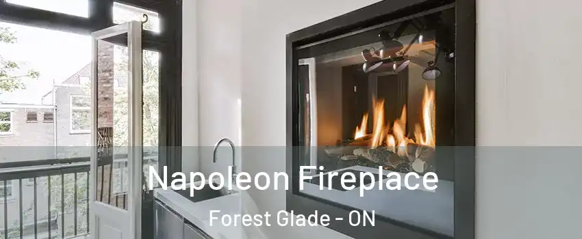  Napoleon Fireplace Forest Glade - ON