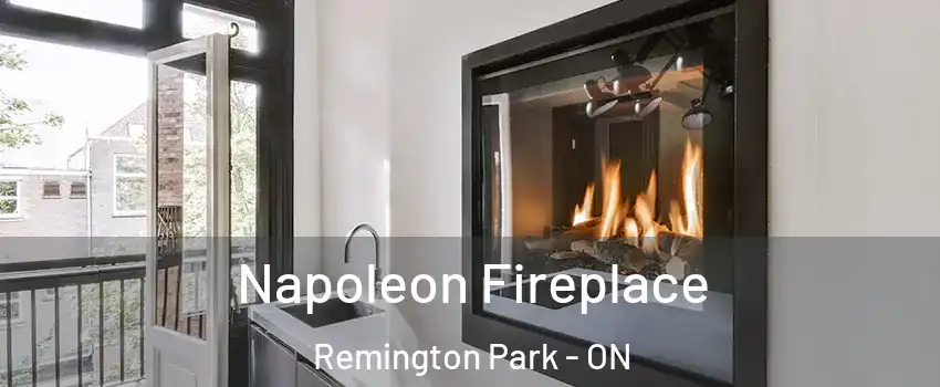  Napoleon Fireplace Remington Park - ON