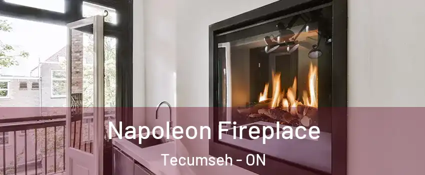  Napoleon Fireplace Tecumseh - ON