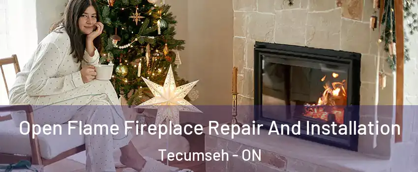  Open Flame Fireplace Repair And Installation Tecumseh - ON