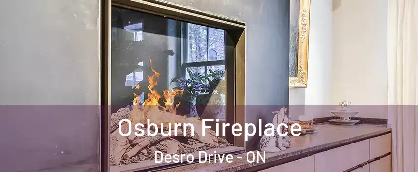  Osburn Fireplace Desro Drive - ON