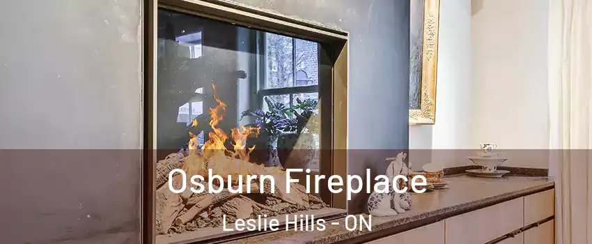  Osburn Fireplace Leslie Hills - ON