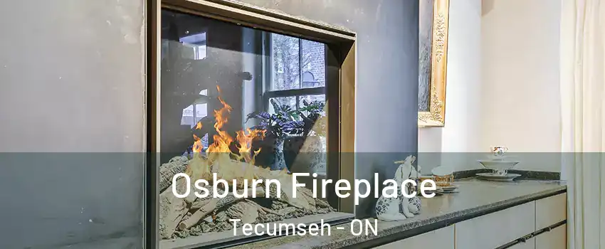  Osburn Fireplace Tecumseh - ON