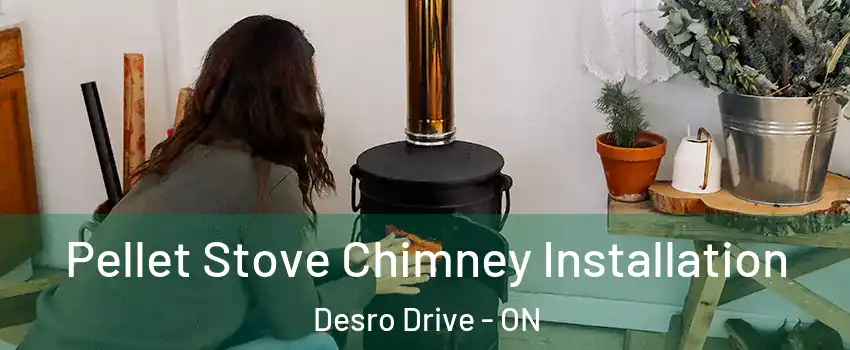  Pellet Stove Chimney Installation Desro Drive - ON