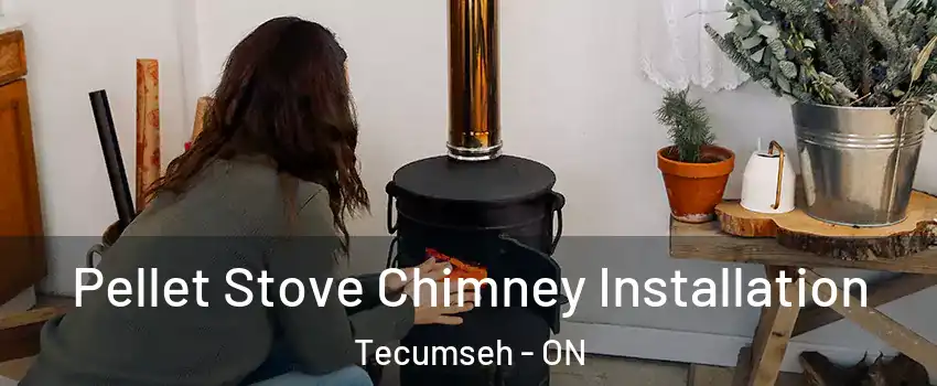  Pellet Stove Chimney Installation Tecumseh - ON
