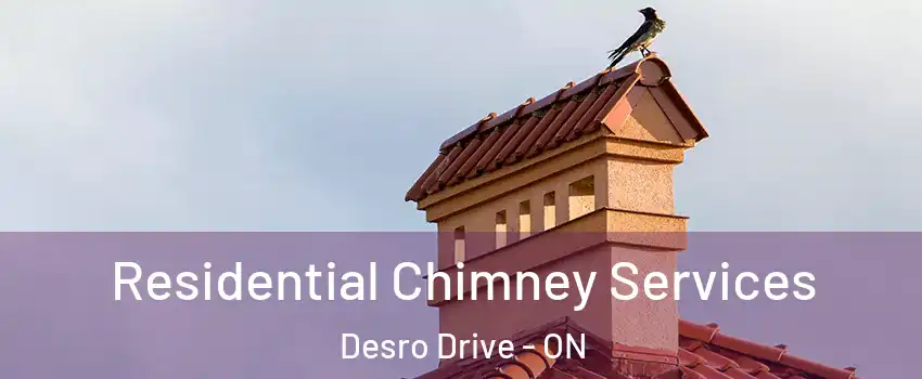  Residential Chimney Services Desro Drive - ON