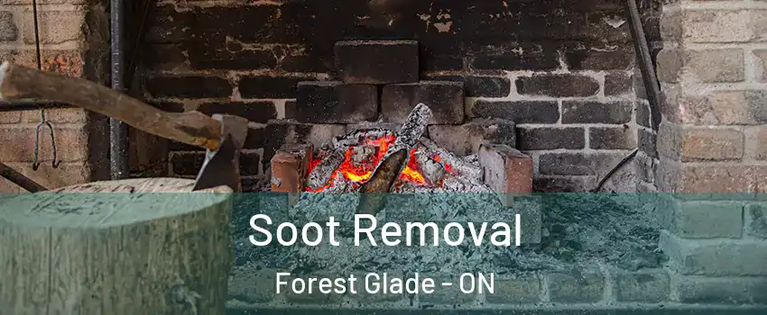  Soot Removal Forest Glade - ON