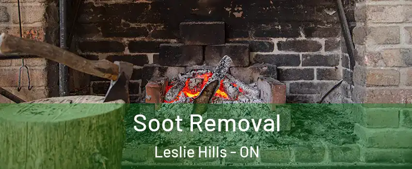  Soot Removal Leslie Hills - ON
