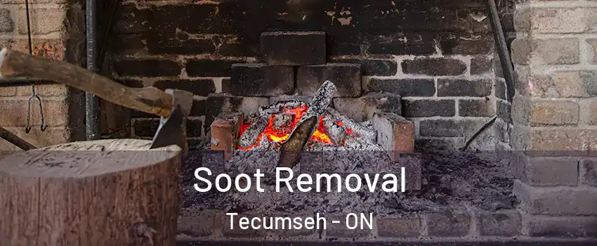  Soot Removal Tecumseh - ON