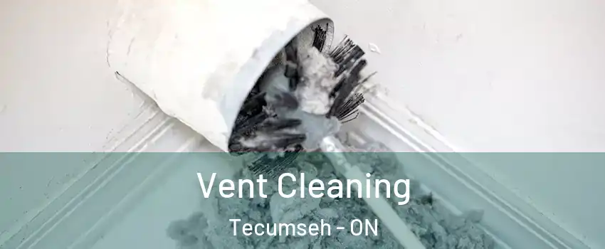  Vent Cleaning Tecumseh - ON
