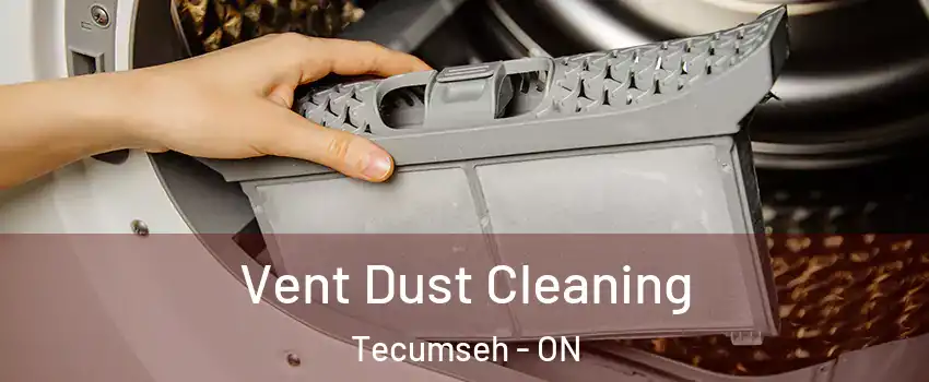  Vent Dust Cleaning Tecumseh - ON