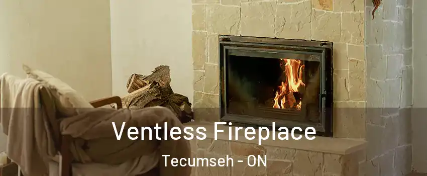  Ventless Fireplace Tecumseh - ON