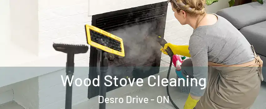  Wood Stove Cleaning Desro Drive - ON