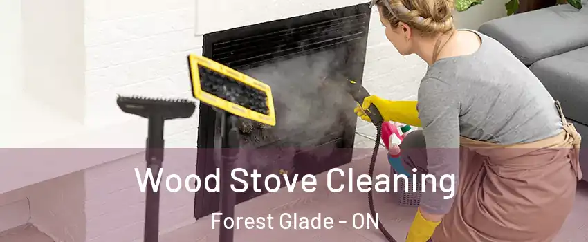  Wood Stove Cleaning Forest Glade - ON