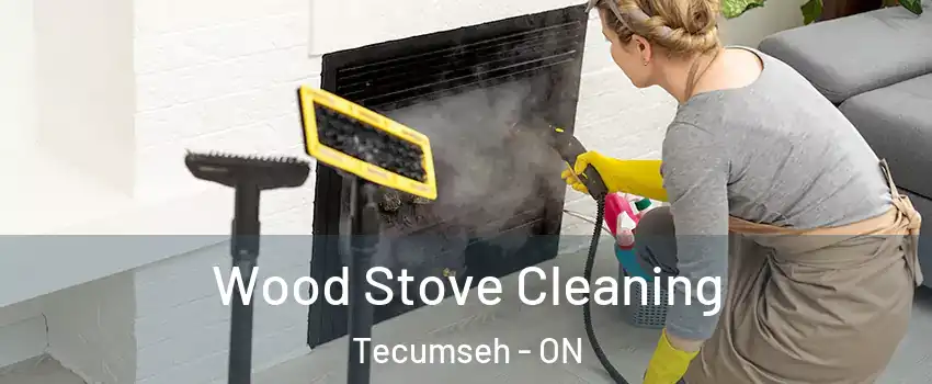  Wood Stove Cleaning Tecumseh - ON